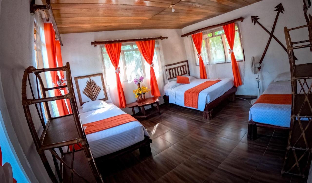 Suchipakari Amazon Eco -Lodge & Jungle Reserve Puerto Misahuallí Kültér fotó