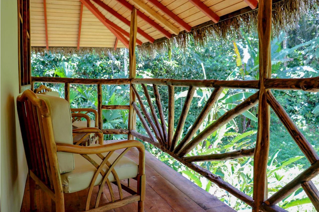Suchipakari Amazon Eco -Lodge & Jungle Reserve Puerto Misahuallí Kültér fotó