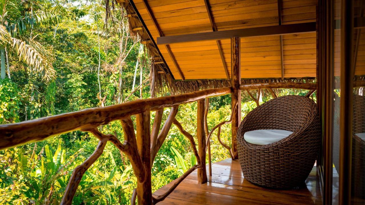 Suchipakari Amazon Eco -Lodge & Jungle Reserve Puerto Misahuallí Kültér fotó
