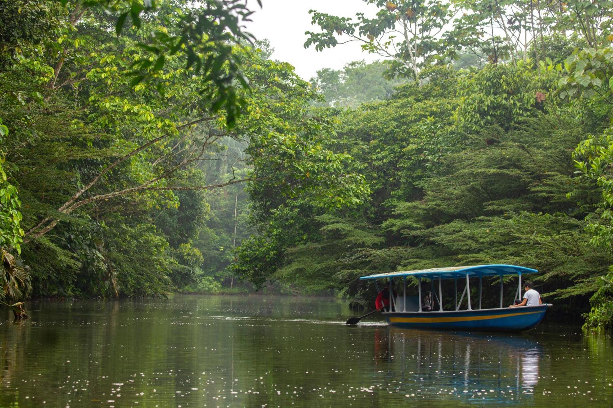 Suchipakari Amazon Eco -Lodge & Jungle Reserve Puerto Misahuallí Kültér fotó