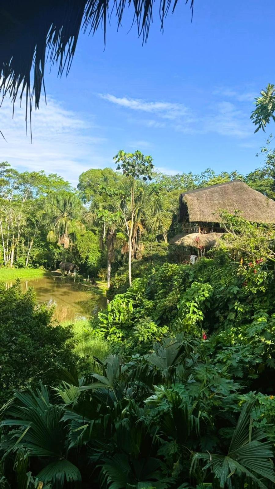 Suchipakari Amazon Eco -Lodge & Jungle Reserve Puerto Misahuallí Kültér fotó