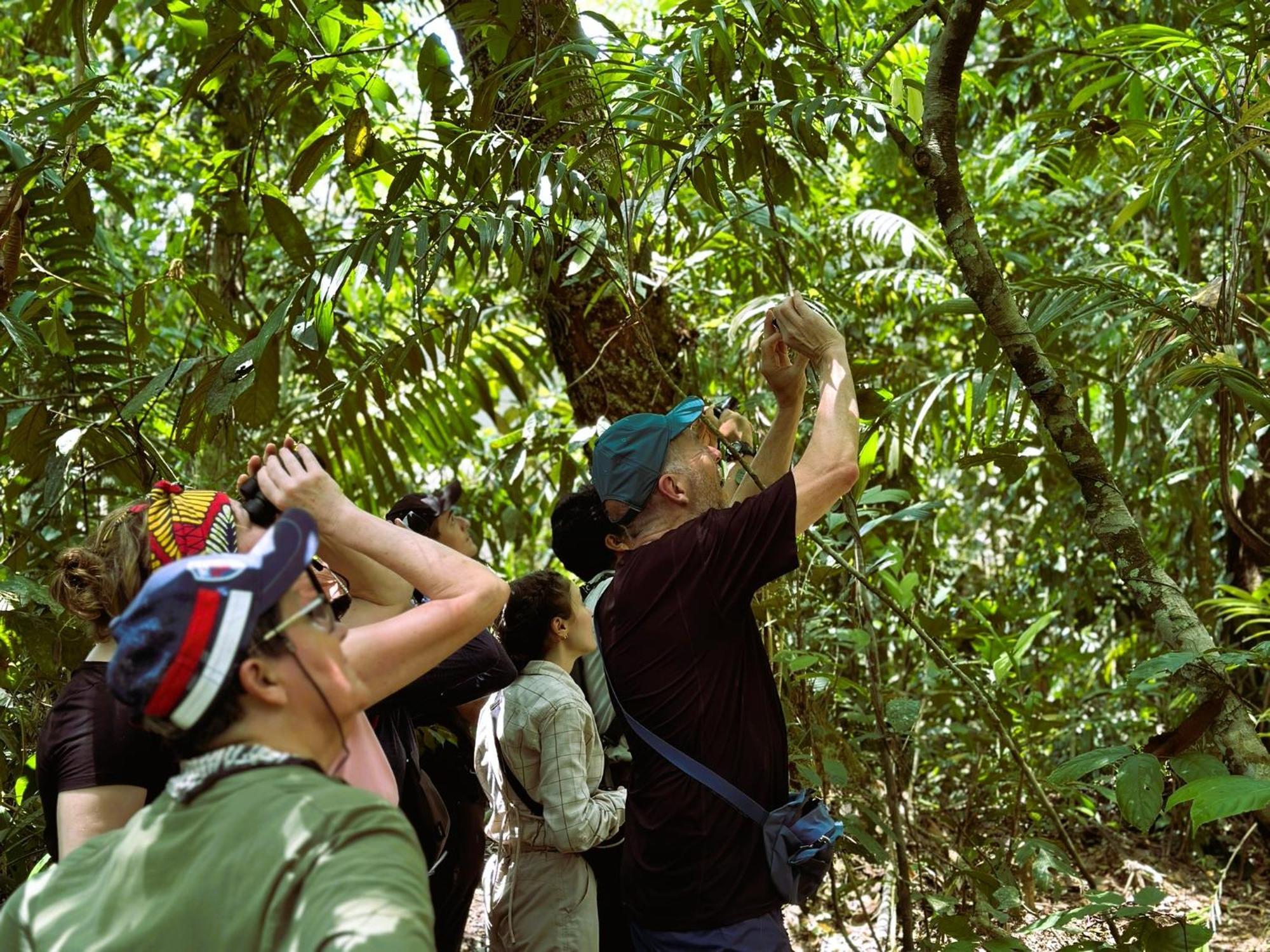 Suchipakari Amazon Eco -Lodge & Jungle Reserve Puerto Misahuallí Kültér fotó